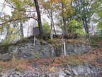 IMG 5294